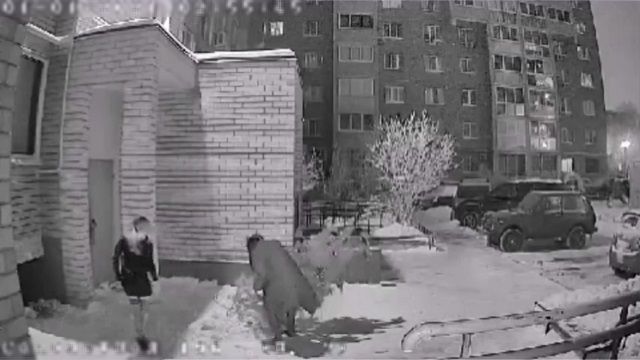 [動画0:54]新年早々、クリスマスツリーを盗む女が撮影される