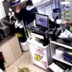[動画0:34]ファストフード店に4人組強盗・・・！店員をボコボコにして金を奪う