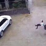 [動画1:04]少年を襲う水牛、謝罪を受け入れる
