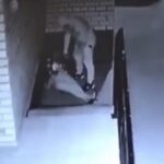 [動画1:26] ロシア人の男、意識を失うまで女性をボコボコにする