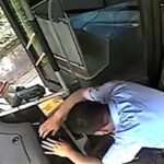 [動画0:23] バスの運転手、運転中にアナフィラキシーショック
