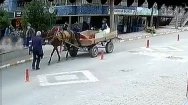 [動画0:47] 84歳の老人、馬車に轢かれる