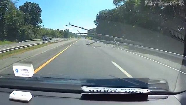 [動画0:40] これは避けられない・・・！高速道路走行中に枯れ木が直撃