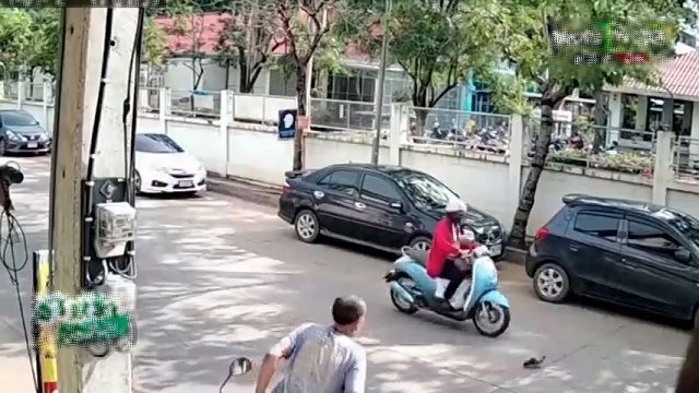 [動画2:38] 優しい男性、怪我をしている鳩を助けようとしてバイクに撥ねられる