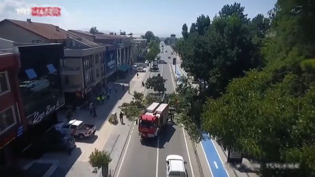 [動画0:40] 折れた木が歩道に直撃、パニックになる人々
