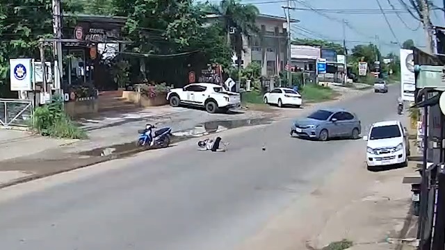 [動画0:48] 事故後の無人バイクに犬もビックリ！