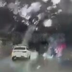 [動画0:21] 強風で倒れる街路樹、車が下敷きに・・・