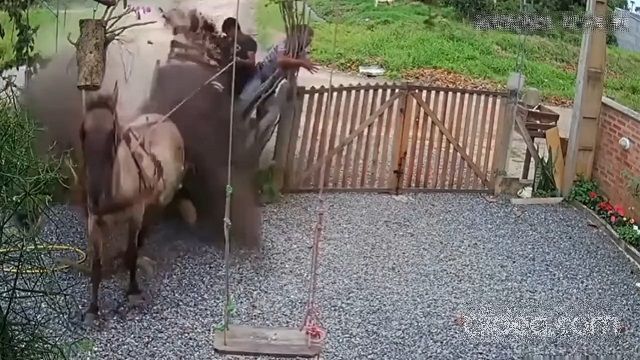 [動画0:12] 馬車が暴走！柵を突き破り庭に突っ込む