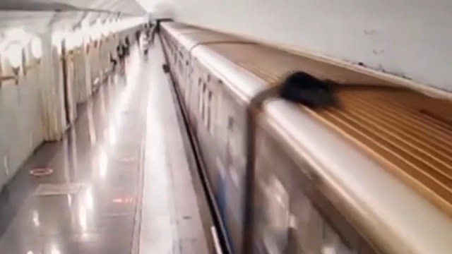 [動画0:21] ロシア人さん、地下鉄の屋根に乗って脊髄損傷を負う