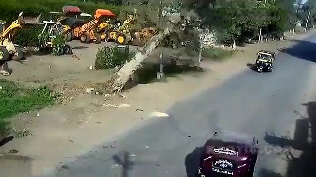 [動画1:02] トゥクトゥクさん、倒れた木に潰されペチャンコ