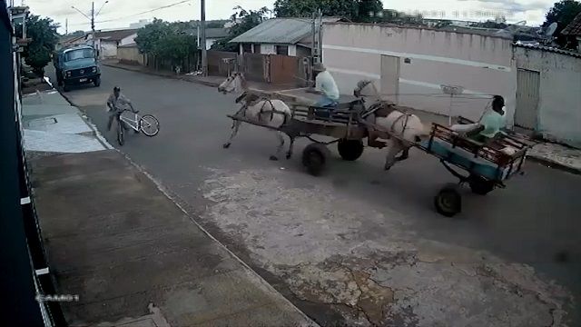 [動画0:48] 通りを暴走する馬車、ミルク配達の馬車に衝突
