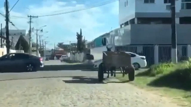 [動画0:16] 無人で疾走する馬車、交差点に飛び出してしまう