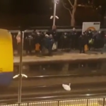 [動画0:24] 帰宅ラッシュのロンドン、負傷した白鳥が列車を遅延させる