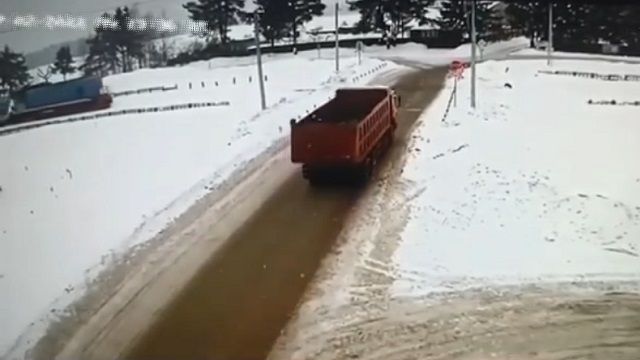 [動画0:43] 犬、列車とダンプトラックの衝突に驚く