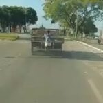 [動画0:59] トラックの荷台につかまる若者、後続車に轢かれる