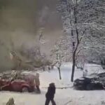 [動画0:09] １１歳の少女を倒木が襲う