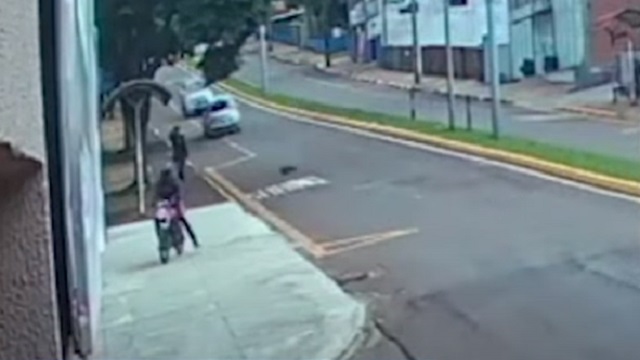 [動画1:13] 犬を轢いたライダーさん、頭から建物に突っ込んでしまう