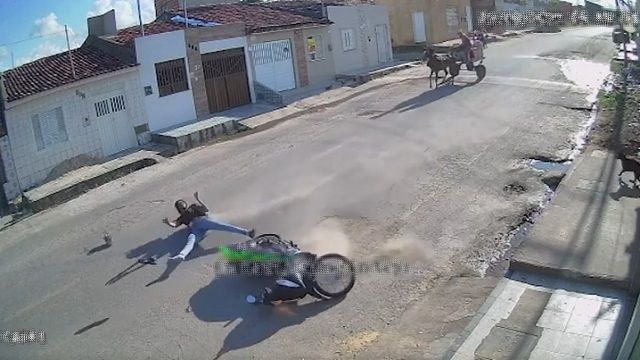 [動画0:19] 女性ライダーが道路にあいた穴で転倒、馬と犬も驚く