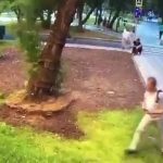 [動画0:23] 歩道に座っていた男性、倒木の下敷きに