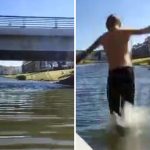 [動画0:19] 運河にダイブする若者たち、危うくボートに直撃するところだった・・・
