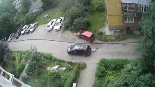 [動画1:12] 高齢女性、バックしてきた車に撥ねられる