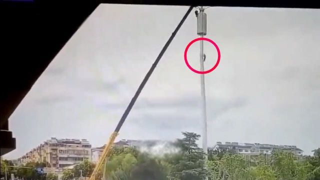 [動画0:18] 建設中のタワーが倒壊、作業員が転落する