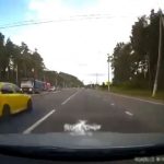 [動画2:37] 猛スピードの車と衝突、とんでもない状態になってしまう