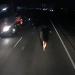 [動画0:09] 救いようのない馬鹿、暗い夜道を黒い服で歩く男