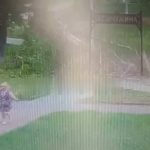 [動画0:29] １３歳少女、折れた木の下敷きになる