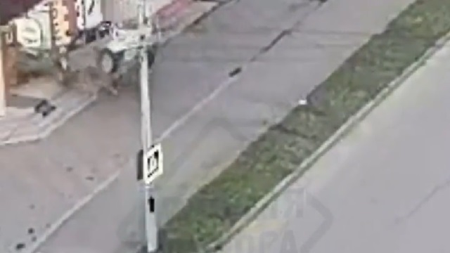 [動画1:01] 女性ドライバー、建物に突っ込むも現場から徒歩で立ち去る