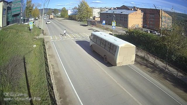 [動画0:29] 横断歩道に歩行者、バスが減速した結果・・・