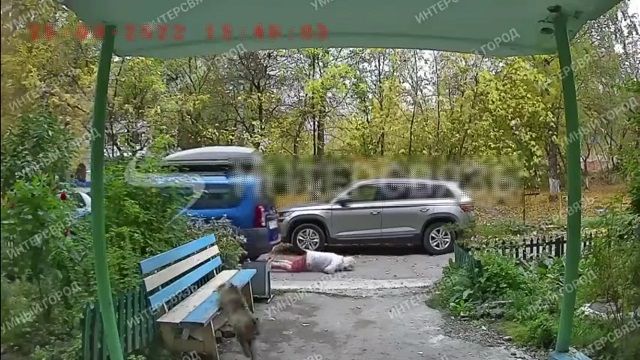 [動画1:00] 高齢女性、バックしてきた車に倒される