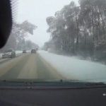 [動画0:17] 雪の重み？木が道路に倒れてくる