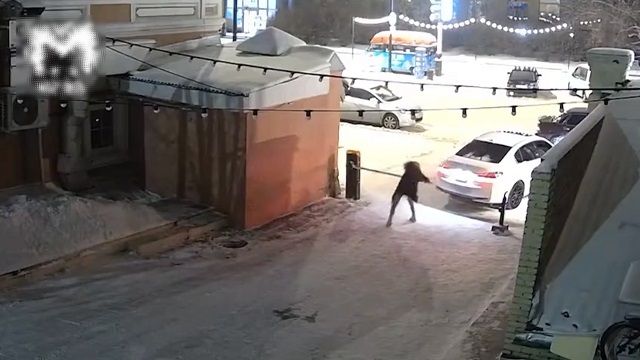 [動画0:24] 酔っ払い女、ゲートにブチ切れｗｗｗ