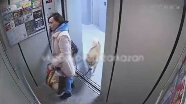 [動画2:04] エレベーターに乗りそびれた犬、リードに繋がれた女性が宙吊り
