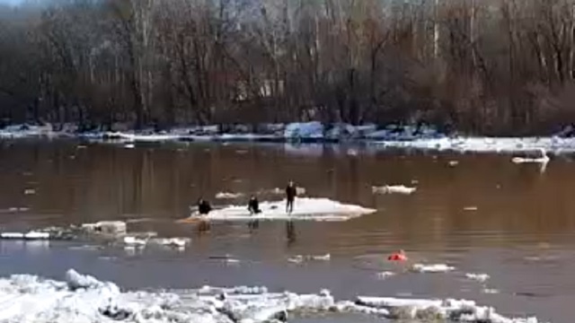 [動画1:34] 氷に乗って川を流されるロシア人、見物人が集まり見世物に