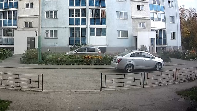 [動画0:24] ロシア人女性、花壇の花を踏み荒らす