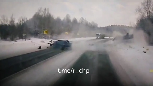 [動画0:55] 雪道でクラッシュ、驚いたイヌが現場から走り去る
