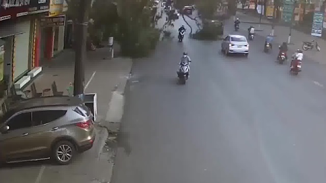 [動画0:16] 折れた木がバイクの女性に直撃、下敷きに・・・