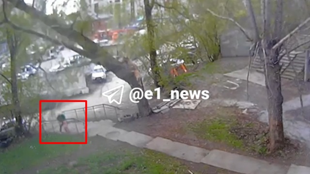 [動画0:17] 母と幼い娘が歩いていた歩道に老木が倒れる