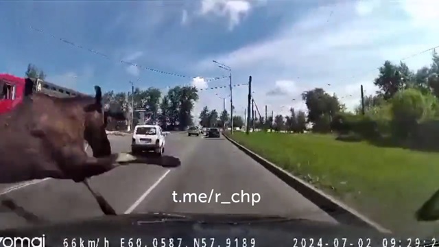 [動画0:14] 道路に飛び出して事故を起こした犯人、逃走する